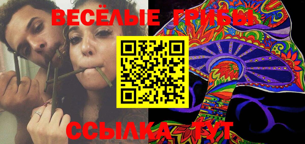 Сунжа  Псилоцибиновые грибы Psilocybine cubensis  Вход с VPN  Галлюциногенные грибы Cubensis 