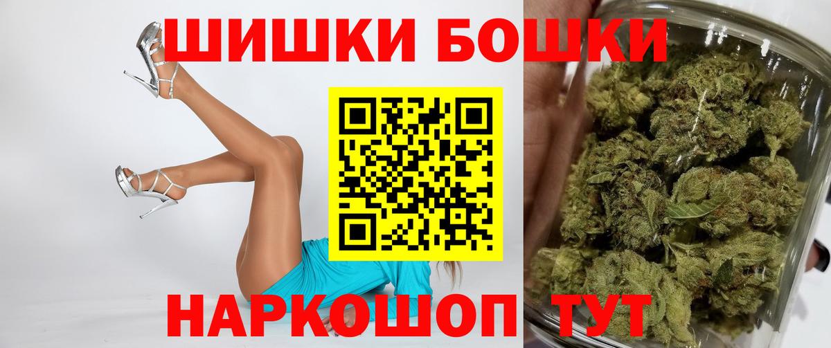 Канабис сатива Сунжа